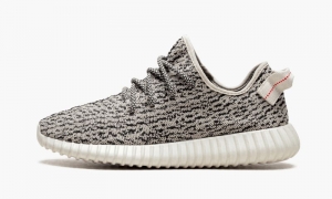 Yeezy Boost 350 Turtle Dove MEN