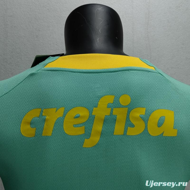 Fans Version 22/23 Palmeiras Green Special Jersey