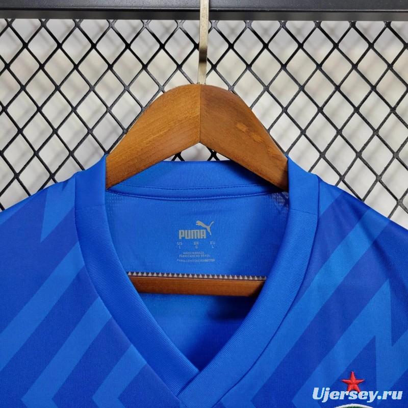 24/25 Palmeiras Goalkeeper Blue Jersey