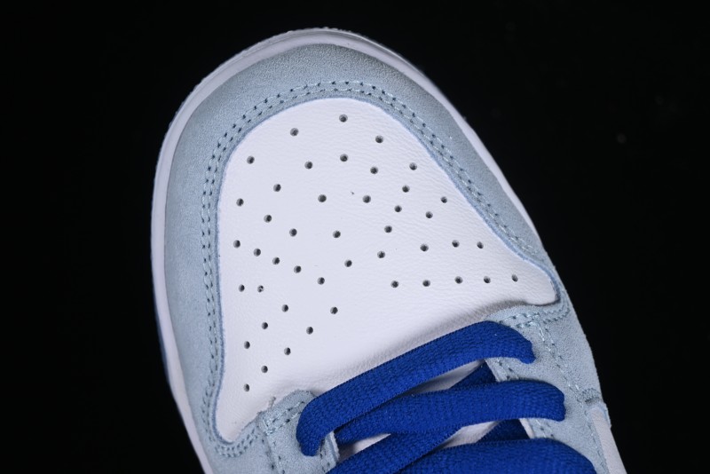 Nike Dunk Low SB Skateboarding Shoes - FD2562-300