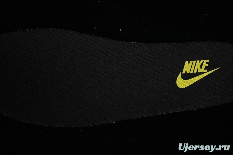 Nike Dunk Low SB Skateboarding Shoes - 302517-236