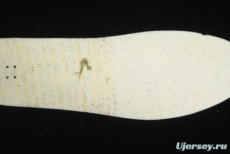 Nike SB Day One Low Top Casual Skate Shoes with Air Zoom Cushion - FN4210-001