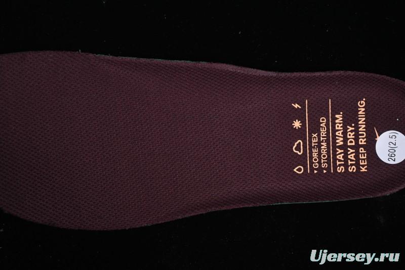 Nike Air Zoom Pegasus 41 GTX Running Shoes with Mesh Breathable Lightweight Design - FQ1356-003