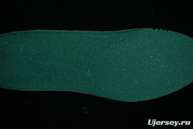 Nike ACG Mountain Fly 2 Low GTX SE Outdoor Hiking Shoes - DV7903-300