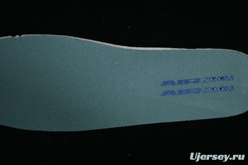 Nike SB Day One Low Top Casual Skate Shoes with Air Zoom Cushion - HM3720-141