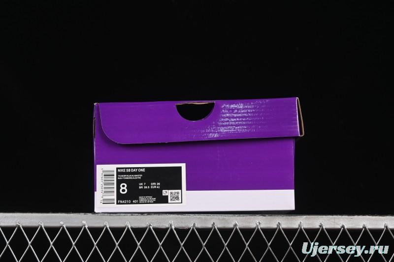 Nike SB Day One Low Casual Skate Shoes - FN4210-401