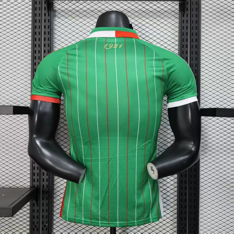 Player Version 25/26 CD Palestina Green Jersey