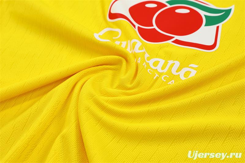 Player Version 25/26 Brazil Yellow Half Zipper Jacket+Long Pants