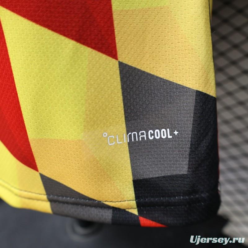 Player Version 26/27  Germany Special Edition Jersey