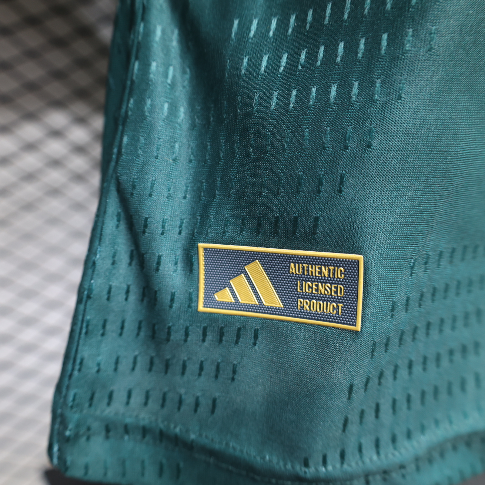 Player Version 26/27 Argentina Green Long Sleeve Jersey