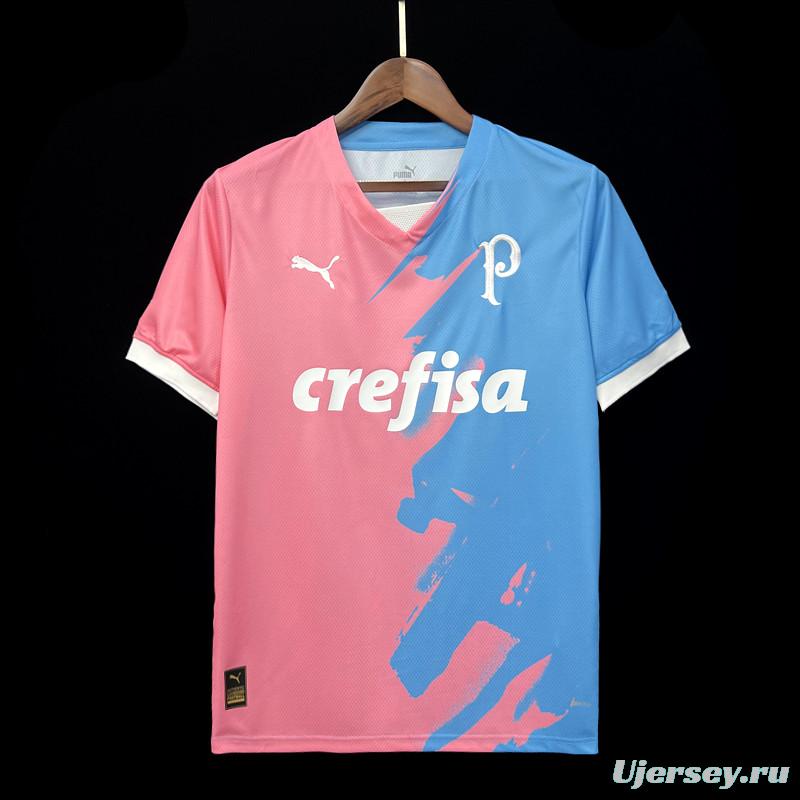 23/24 Palmeiras Cancer Awareness Pink Jersey