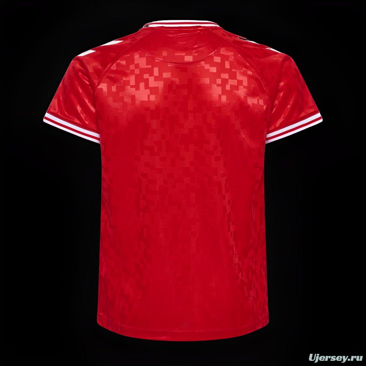 2024 Denmark Home Jersey